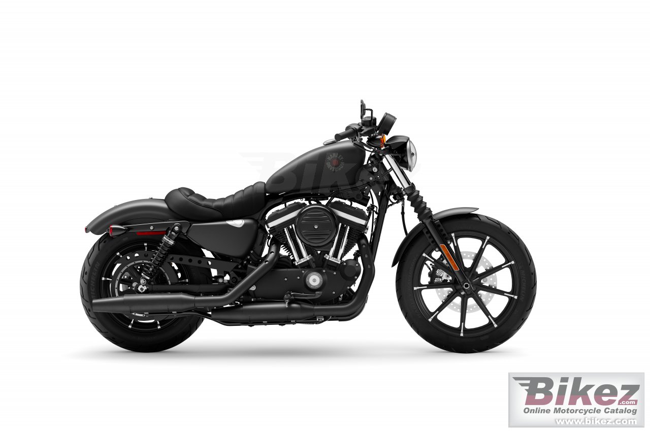 Thumbnail for Harley-Davidson Iron 883 2022