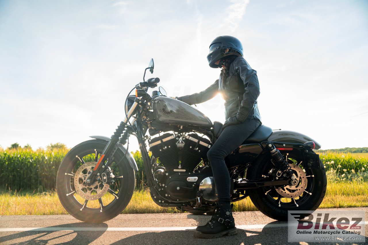 Thumbnail for Harley-Davidson Iron 883 2022
