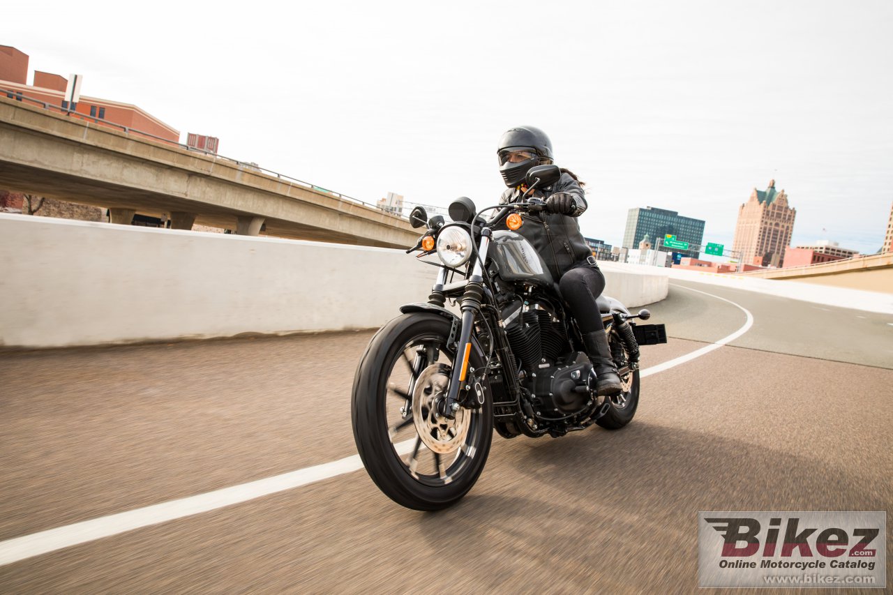Thumbnail for Harley-Davidson Iron 883 2022
