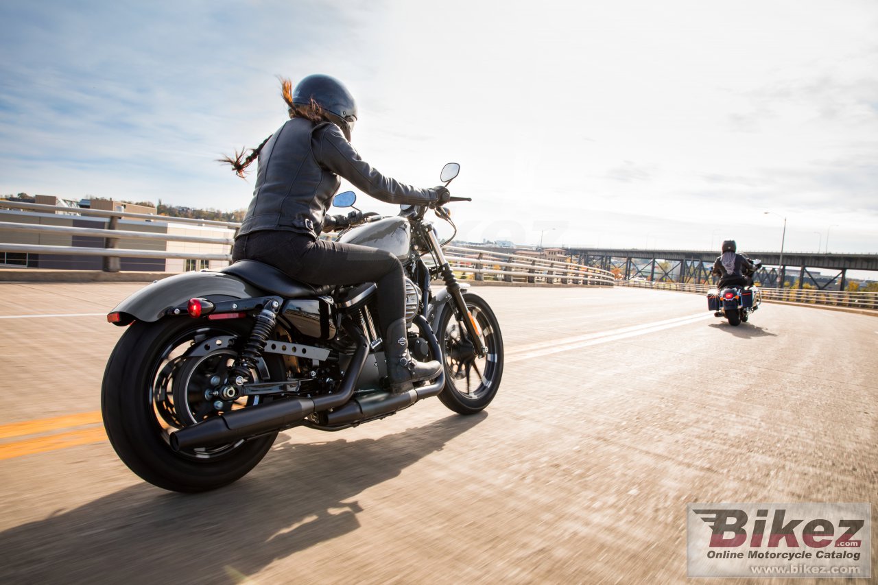 Thumbnail for Harley-Davidson Iron 883 2022