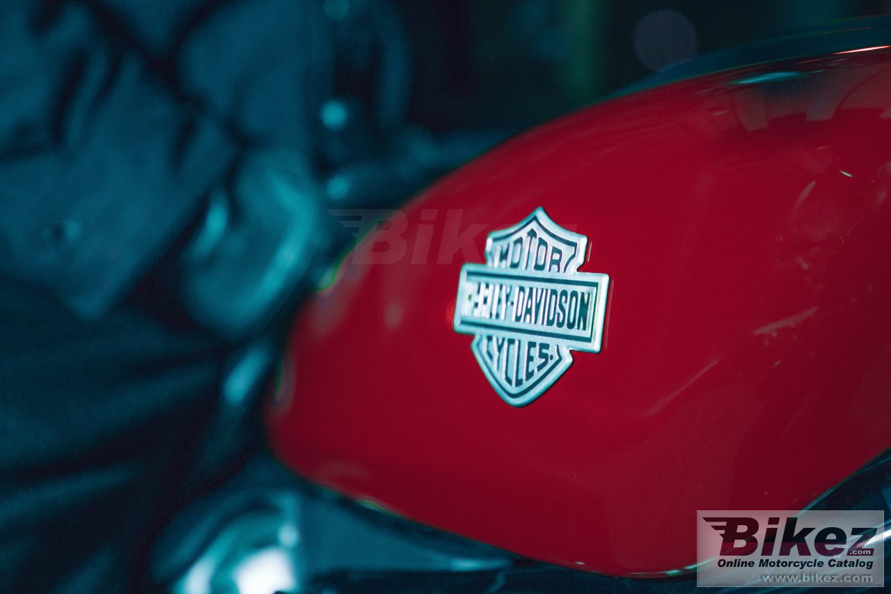 Thumbnail for Harley-Davidson Nightster 2023
