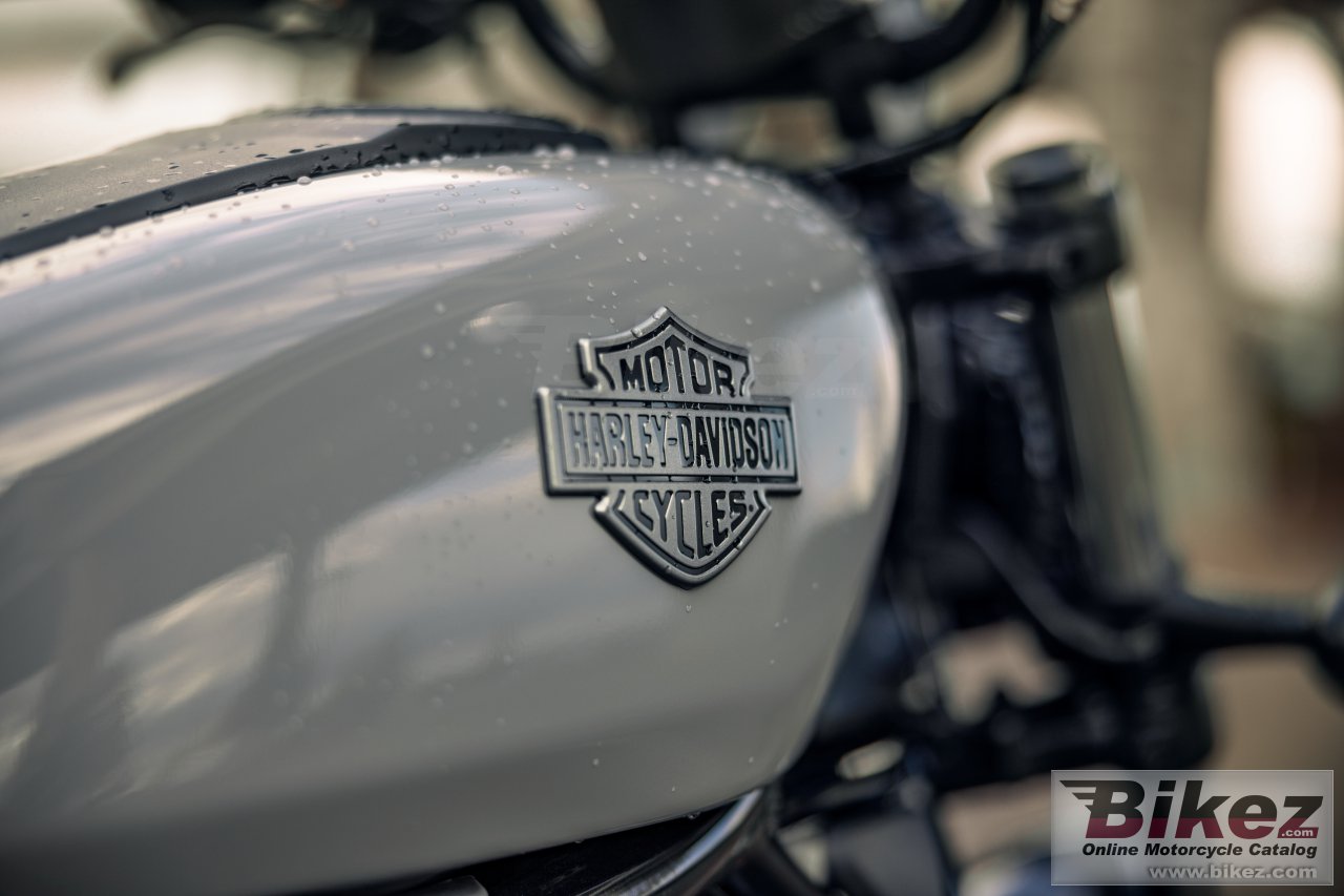 Thumbnail for Harley-Davidson Nightster 2024