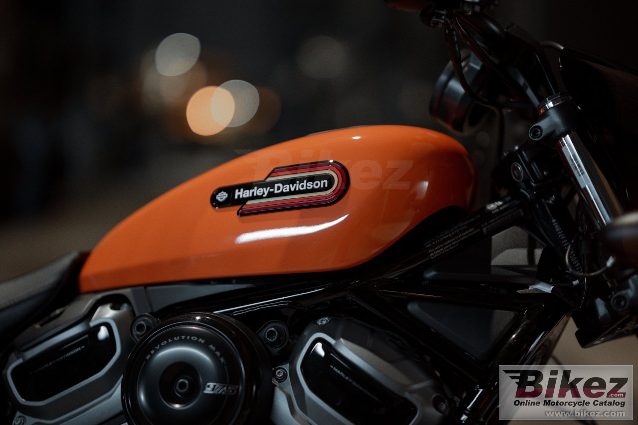 Thumbnail for Harley-Davidson Nightster Special 2024
