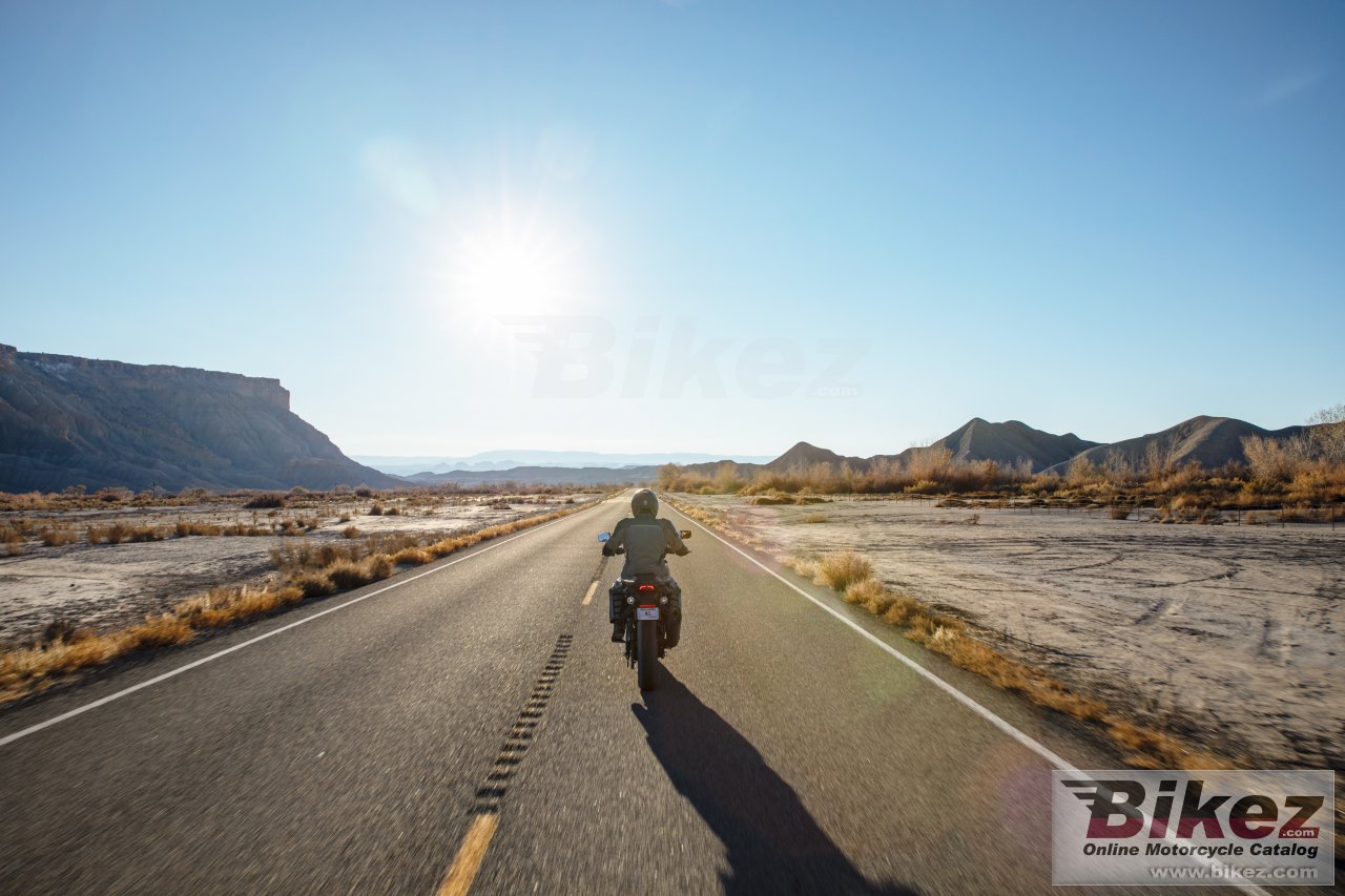 Thumbnail for Harley-Davidson Pan America 1250 2022