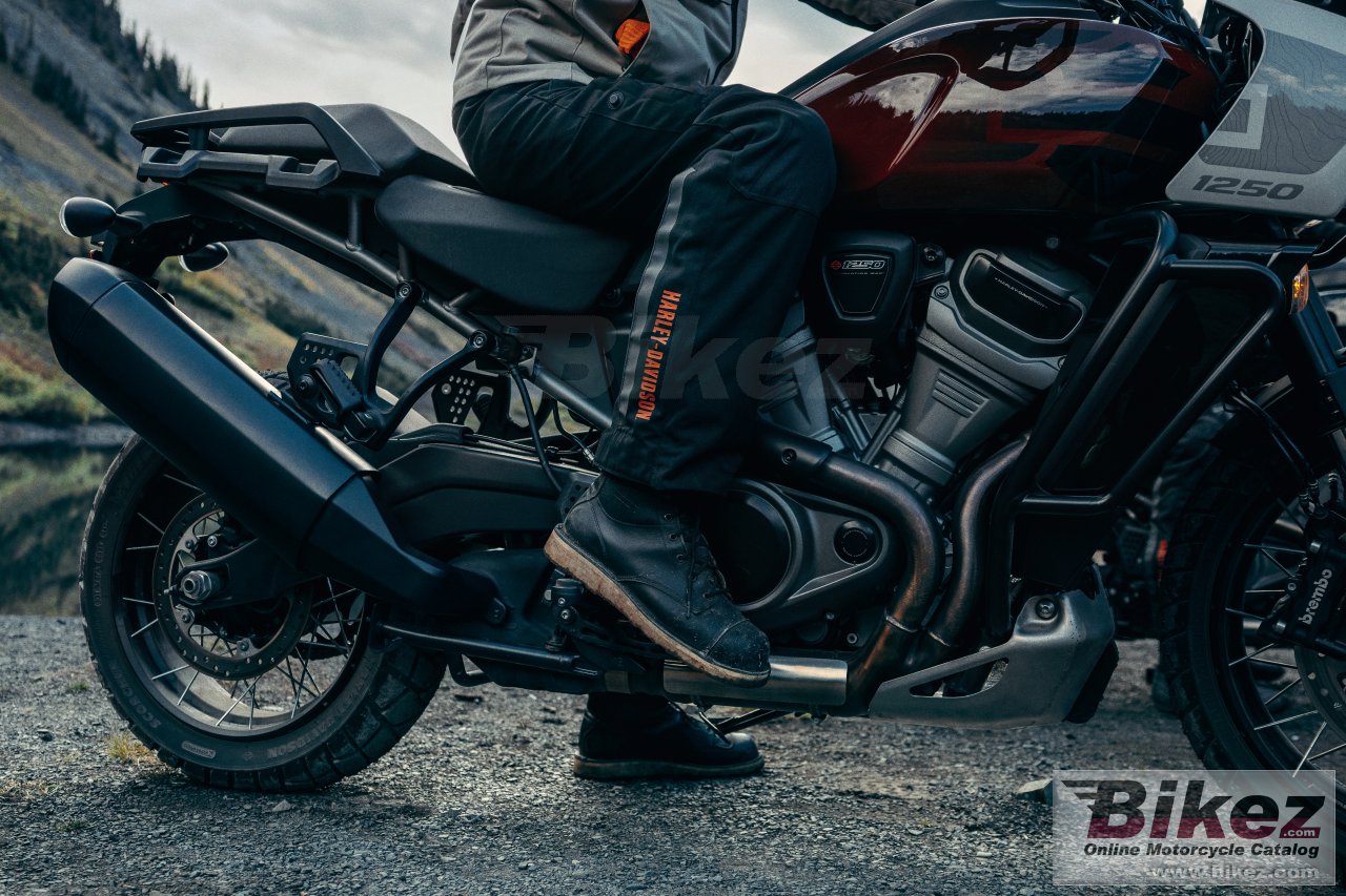 Thumbnail for Harley-Davidson Pan America 1250 Special 2024