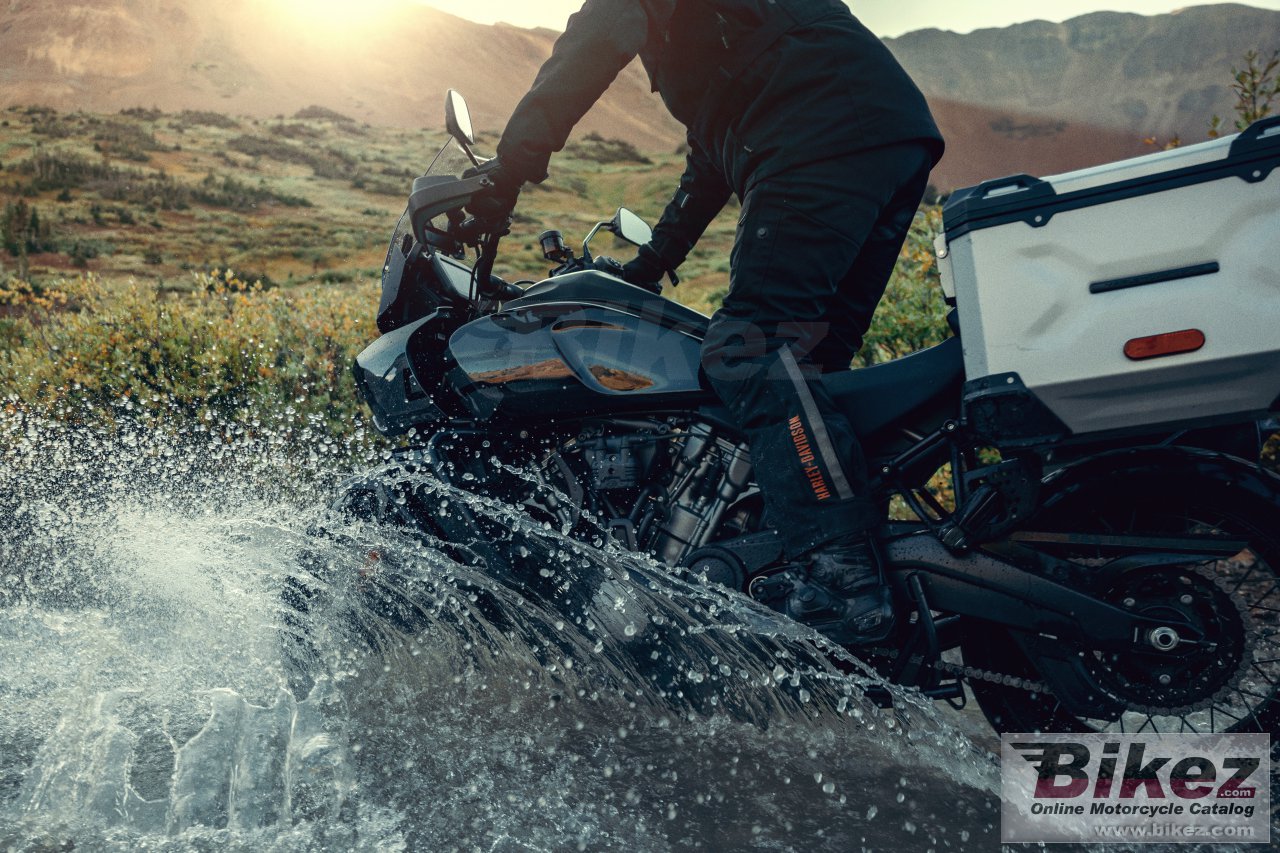Thumbnail for Harley-Davidson Pan America 1250 Special 2024