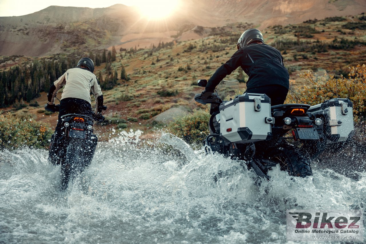 Thumbnail for Harley-Davidson Pan America 1250 Special 2024