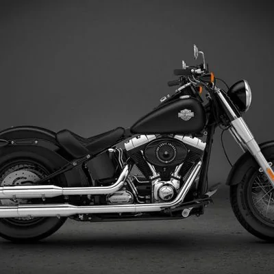 Thumbnail for Harley-Davidson Softail Slim 2013