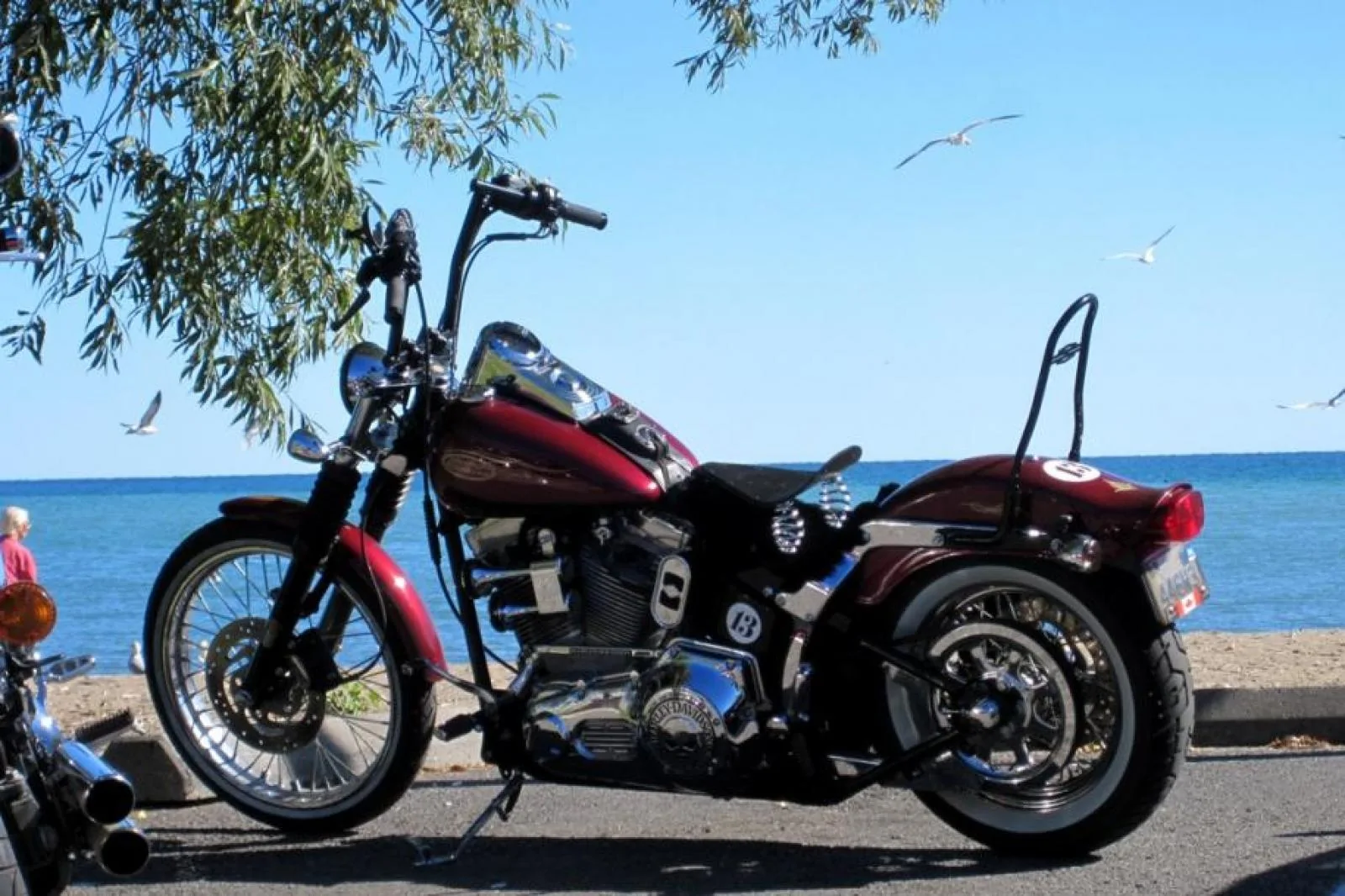 Harley-Davidson Softail Standard