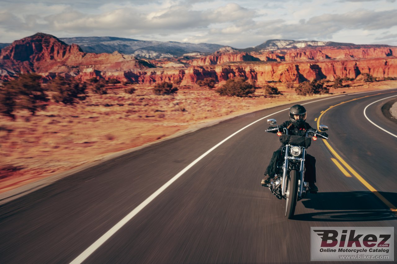 Thumbnail for Harley-Davidson Softail Standard 2024