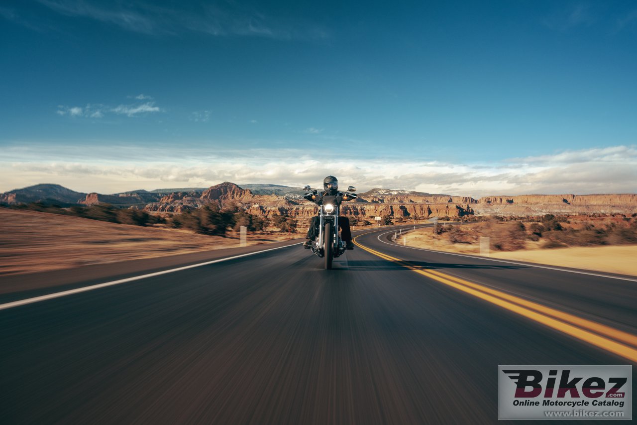Thumbnail for Harley-Davidson Softail Standard 2024