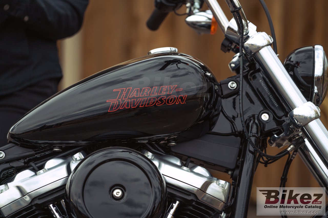 Thumbnail for Harley-Davidson Softail Standard 2024