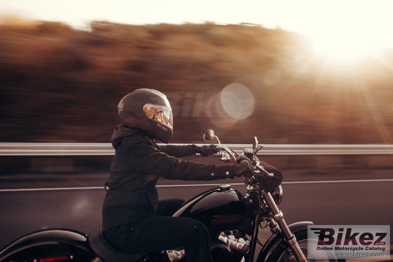 Thumbnail for Harley-Davidson Softail Standard 2024