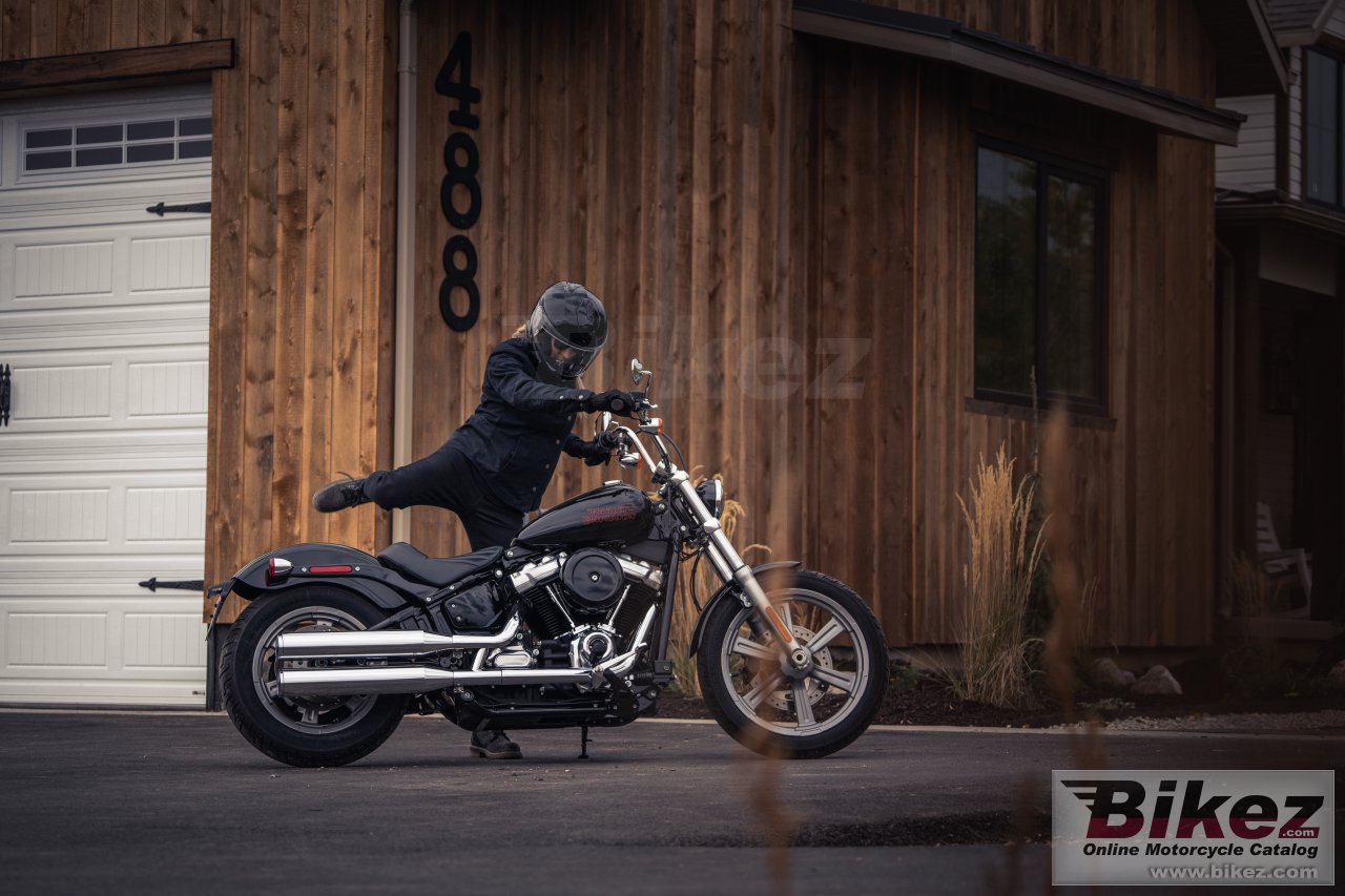 Thumbnail for Harley-Davidson Softail Standard 2024