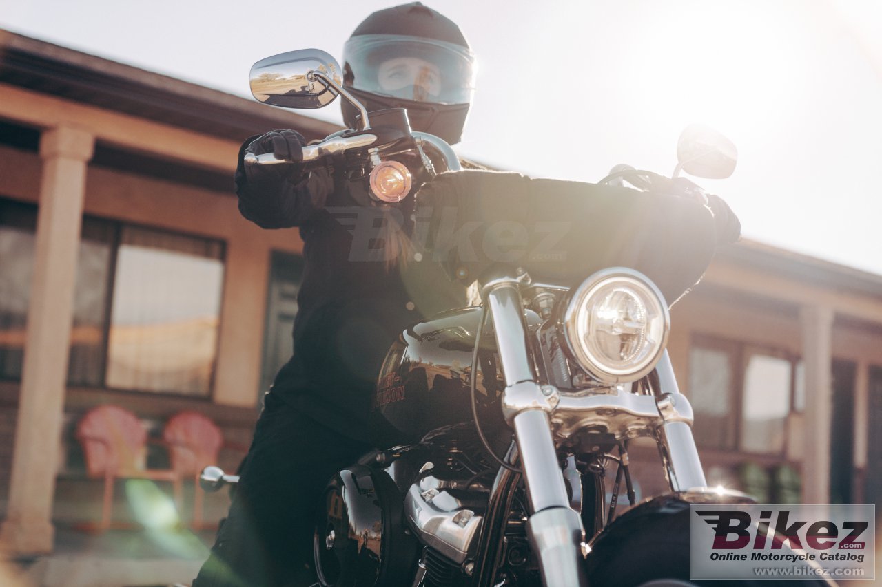 Thumbnail for Harley-Davidson Softail Standard 2024