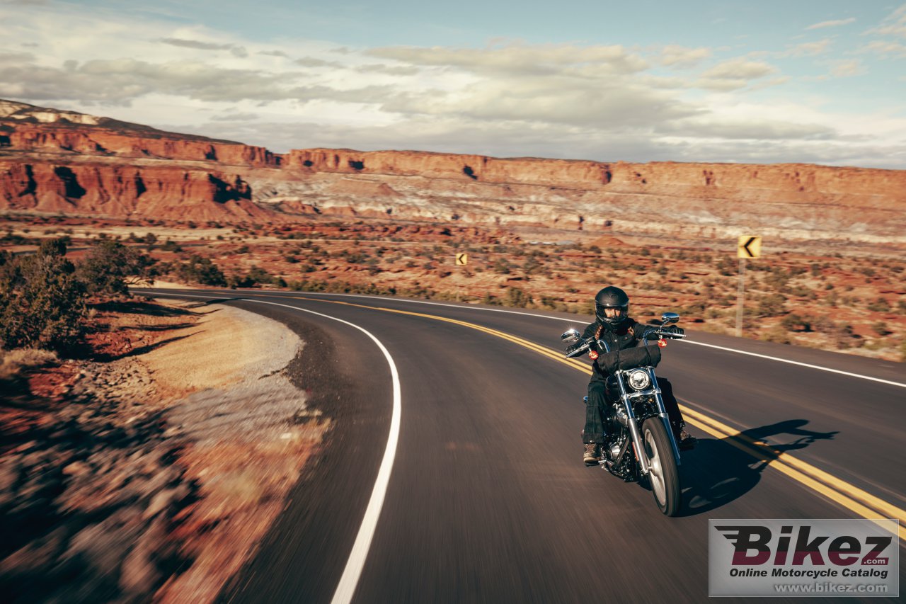 Thumbnail for Harley-Davidson Softail Standard 2024