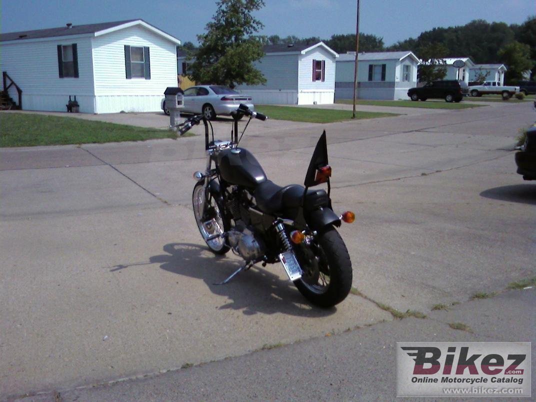 Thumbnail for Harley-Davidson Sportster 1200 Custom 1999