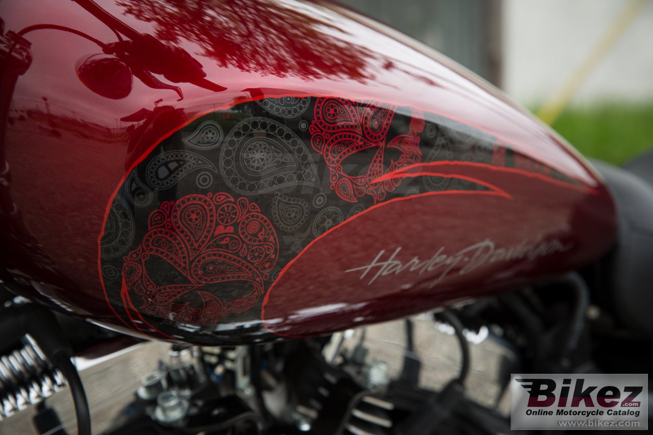 Thumbnail for Harley-Davidson Sportster 1200 Custom 2017
