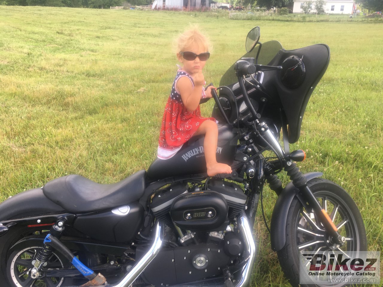 Thumbnail for Harley-Davidson Sportster Iron 833 2013