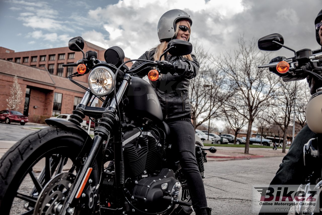 Thumbnail for Harley-Davidson Sportster Iron 883 2014