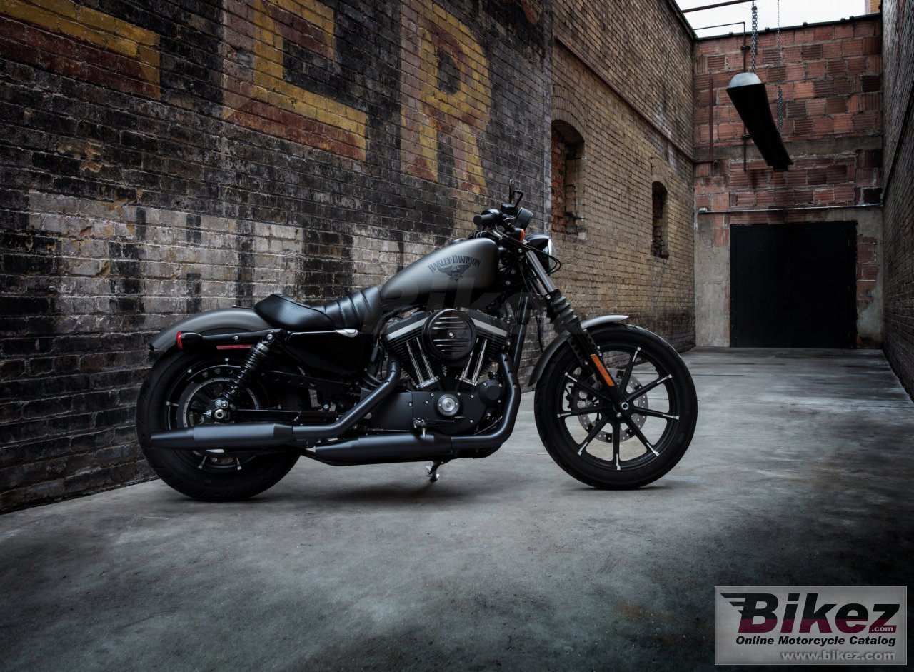 Thumbnail for Harley-Davidson Sportster Iron 883 2018