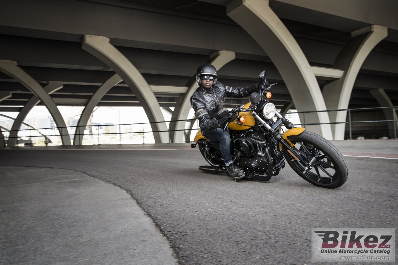 Thumbnail for Harley-Davidson Sportster Iron 883 2019