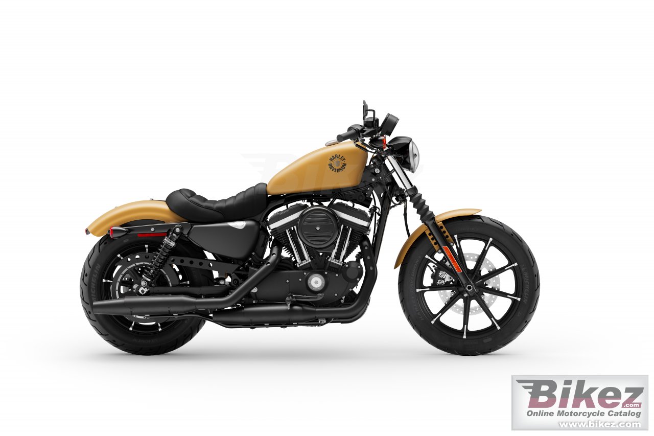 Thumbnail for Harley-Davidson Sportster Iron 883 2019