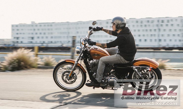 Thumbnail for Harley-Davidson Sportster Seventy-Two Dark Custom 2015