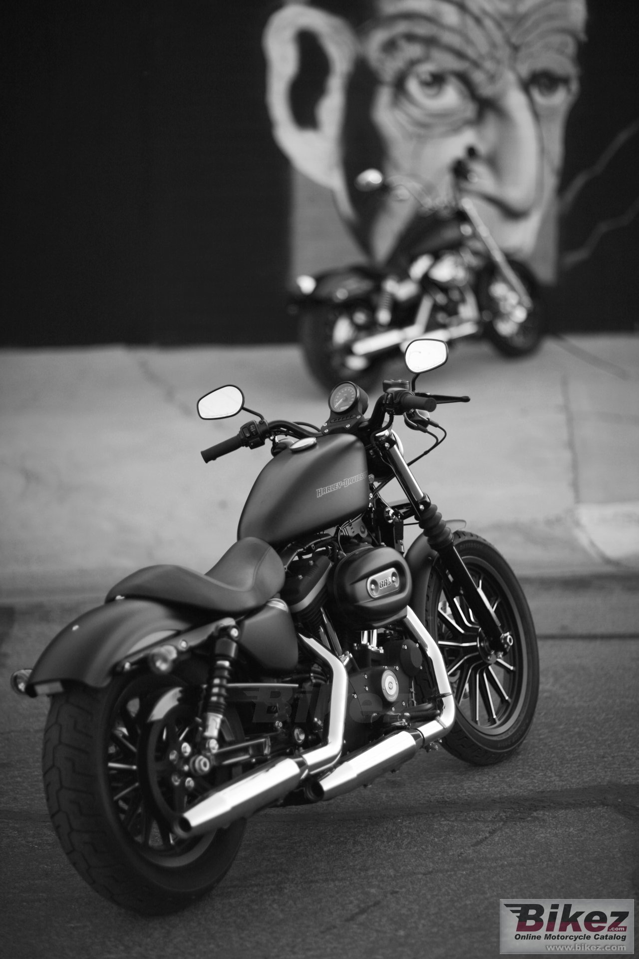 Thumbnail for Harley-Davidson Sportster XL 883N Iron 883 2010