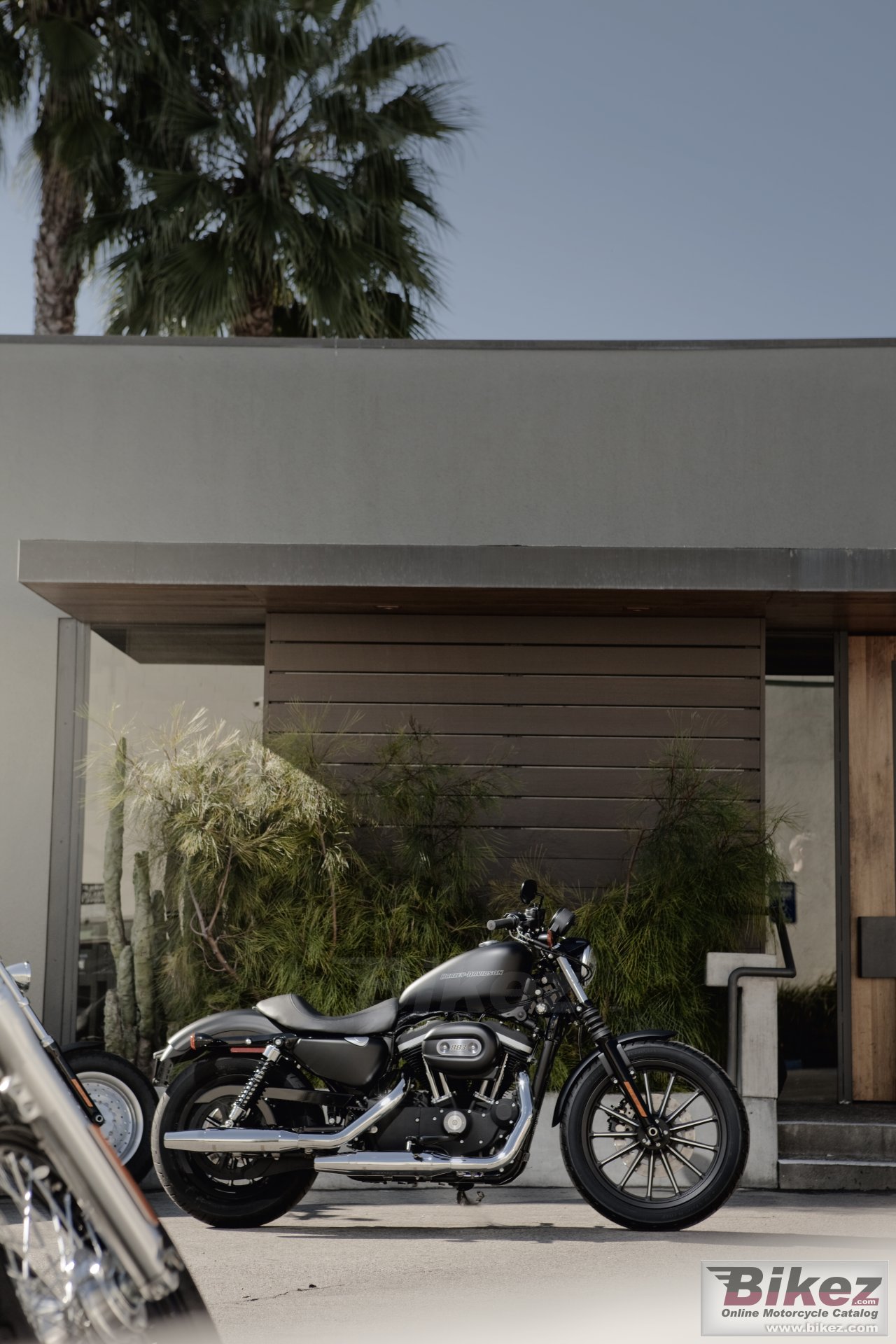 Thumbnail for Harley-Davidson Sportster XL 883N Iron 883 2010