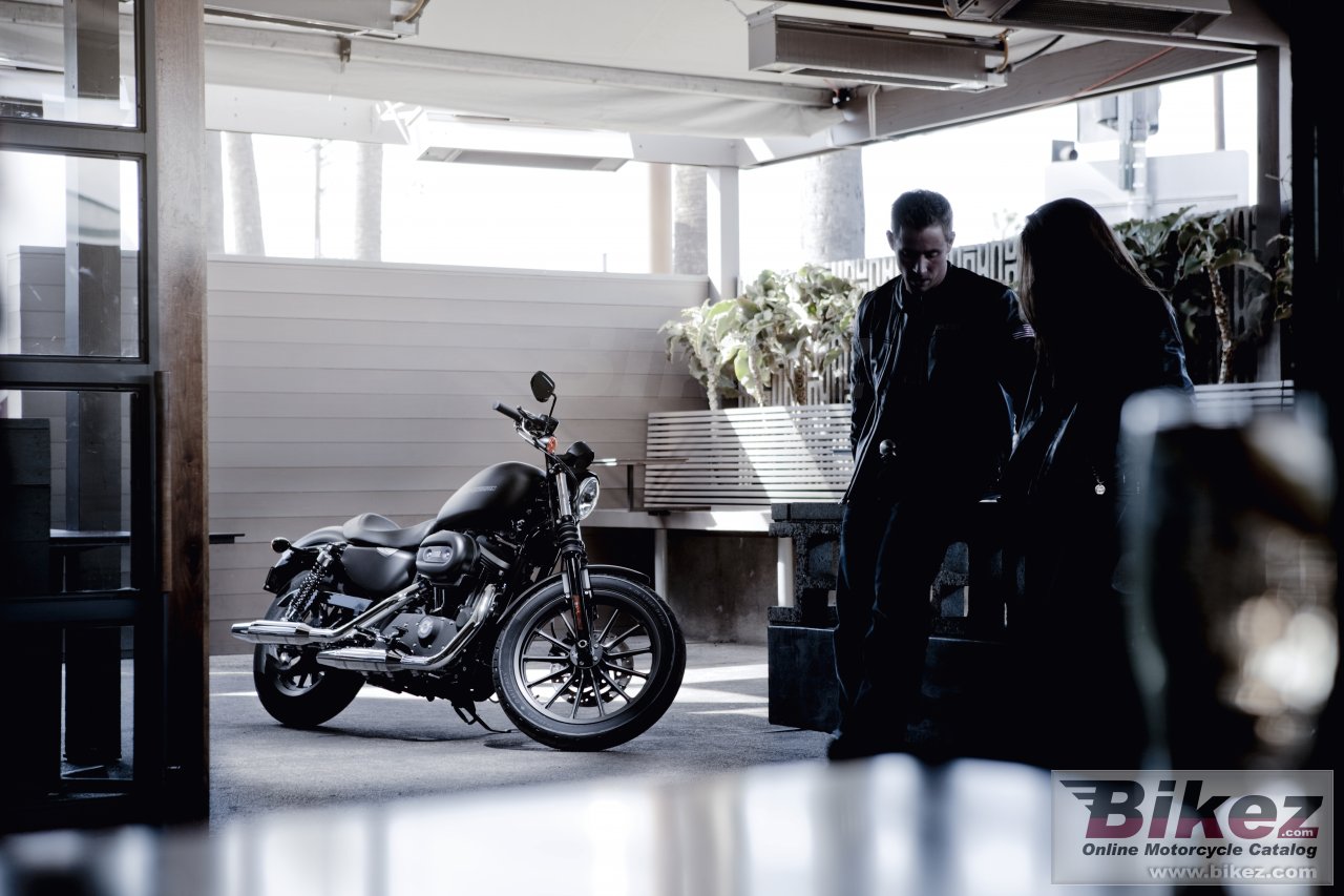 Thumbnail for Harley-Davidson Sportster XL 883N Iron 883 2010