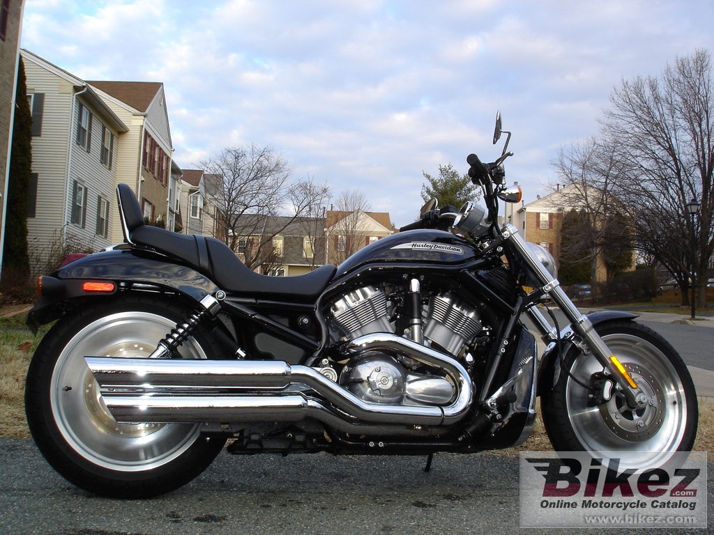 Thumbnail for Harley-Davidson VRSCA V-Rod 2004