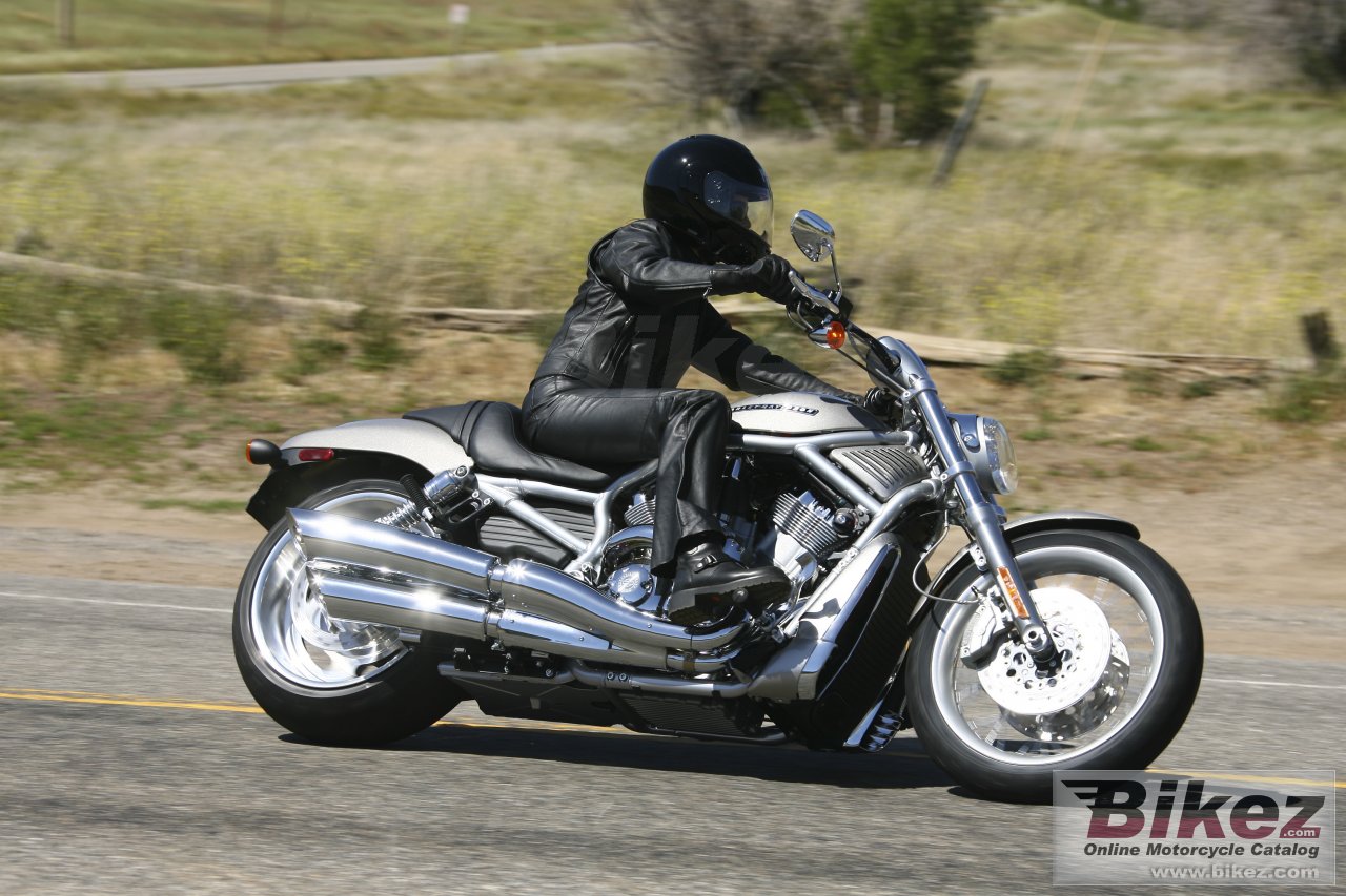 Thumbnail for Harley-Davidson VRSCAW V-Rod 2008