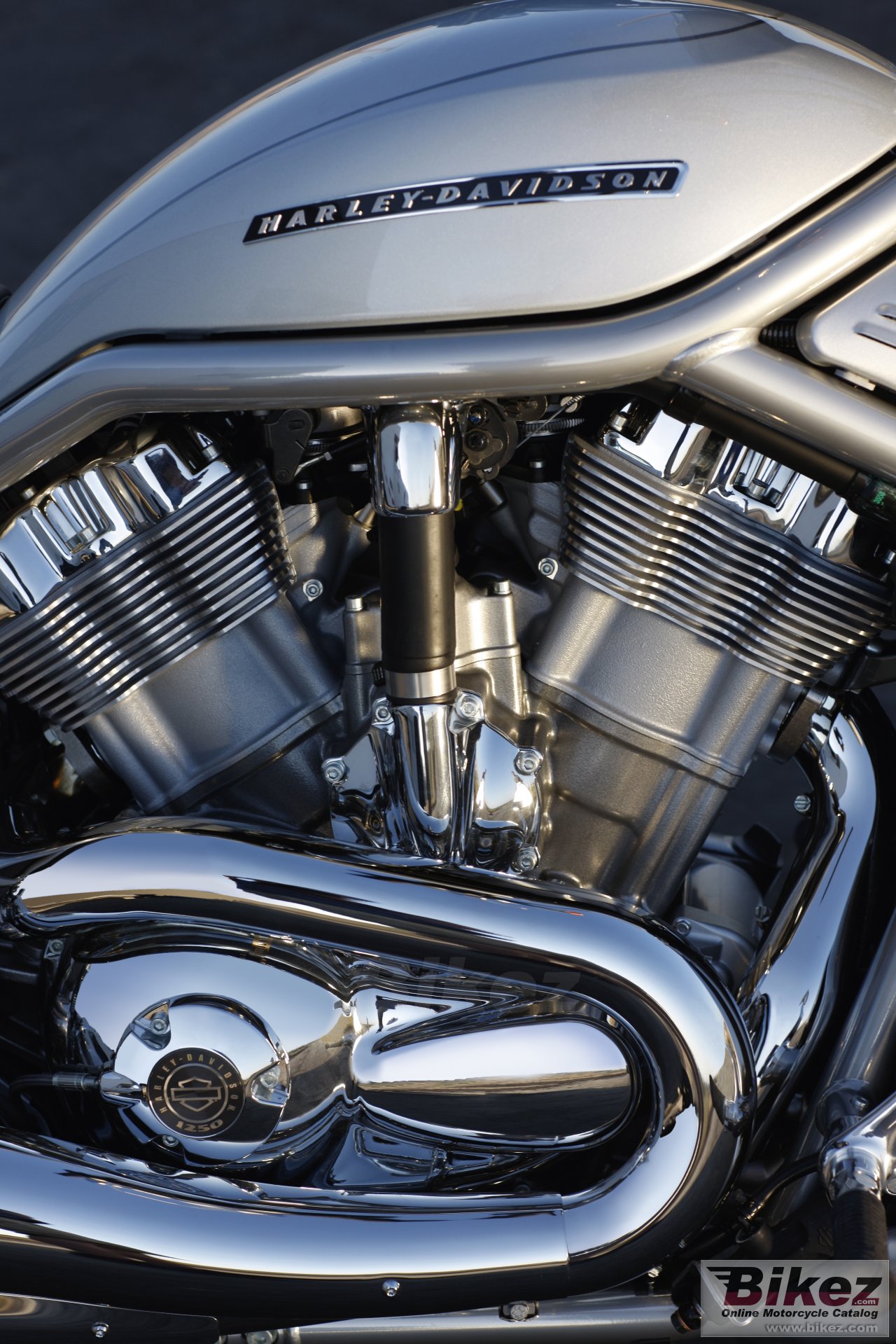 Thumbnail for Harley-Davidson VRSCAW V-Rod 2010