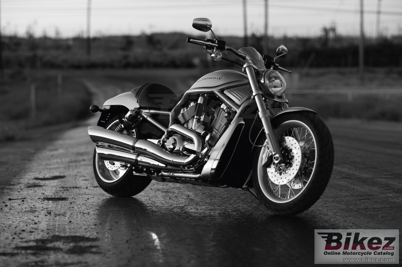 Thumbnail for Harley-Davidson VRSCAW V-Rod 2010