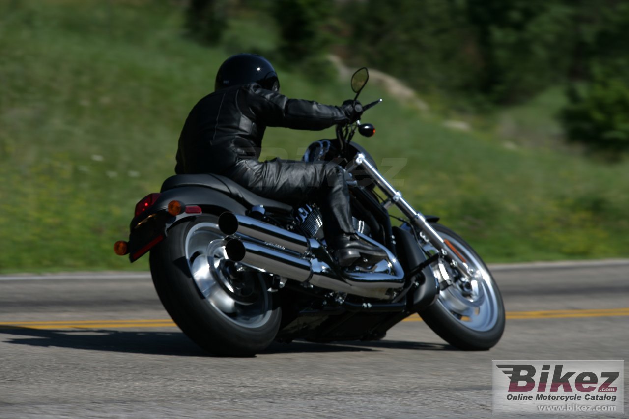 Thumbnail for Harley-Davidson VRSCD Night Rod 2006