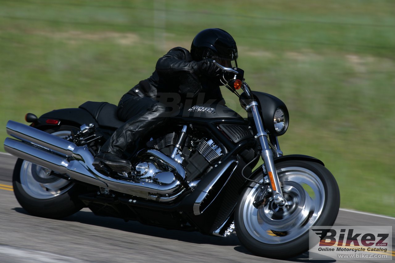 Thumbnail for Harley-Davidson VRSCD Night Rod 2006