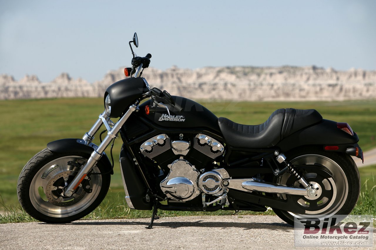 Thumbnail for Harley-Davidson VRSCD Night Rod 2006