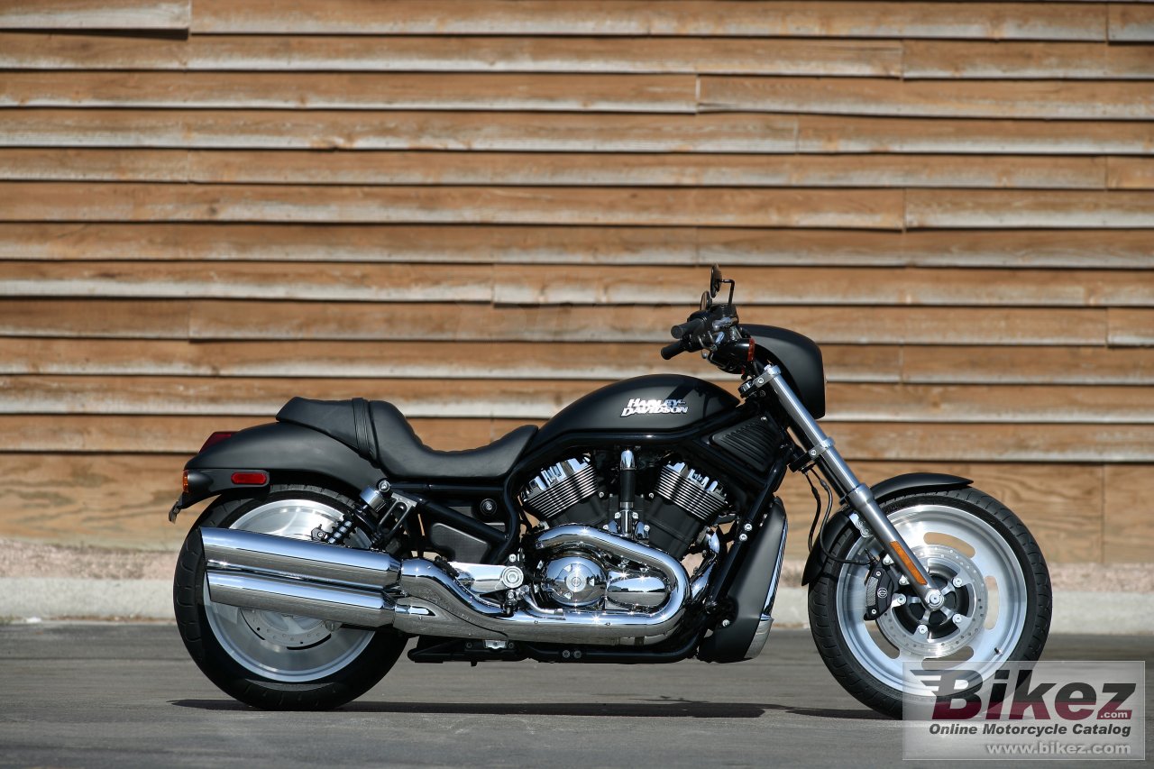Thumbnail for Harley-Davidson VRSCD Night Rod 2006
