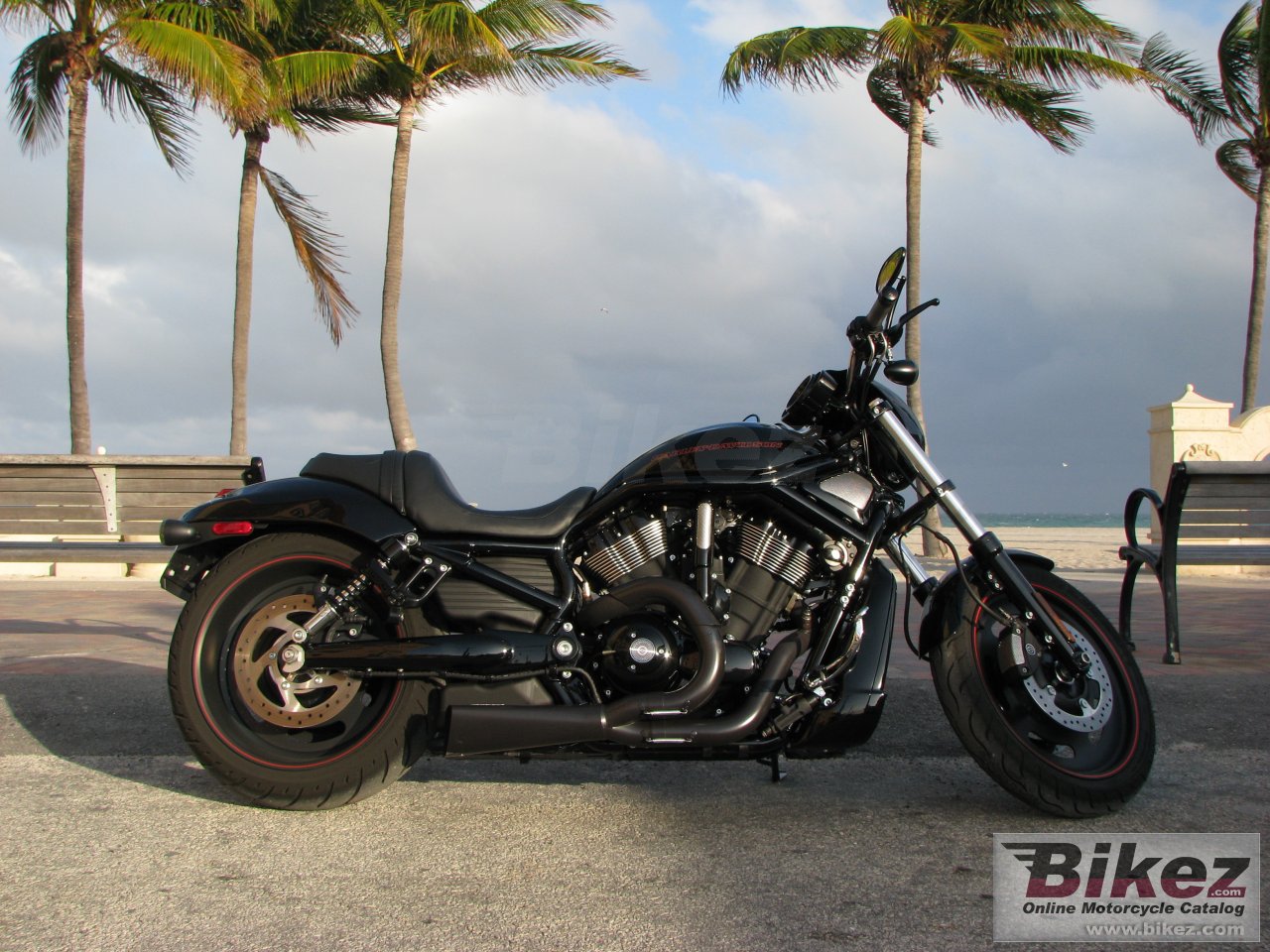 Thumbnail for Harley-Davidson VRSCDX Night Rod Special 2008