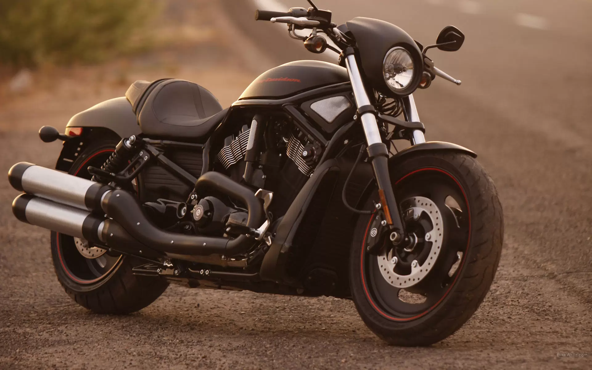 Thumbnail for Harley-Davidson VRSCDX Night Rod Special 2010
