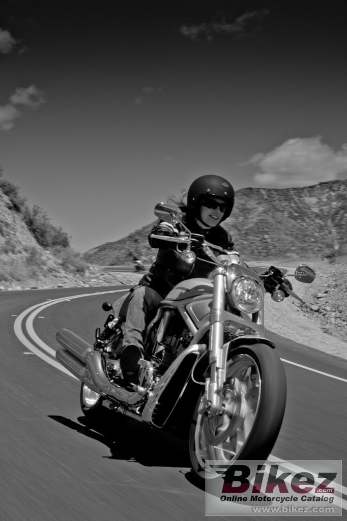 Thumbnail for Harley-Davidson VRSCDX V-Rod 10th Anniversary 2012