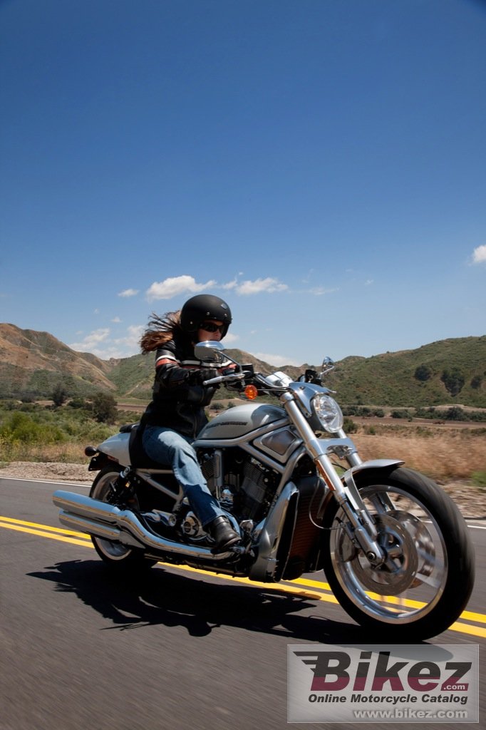 Thumbnail for Harley-Davidson VRSCDX V-Rod 10th Anniversary 2012