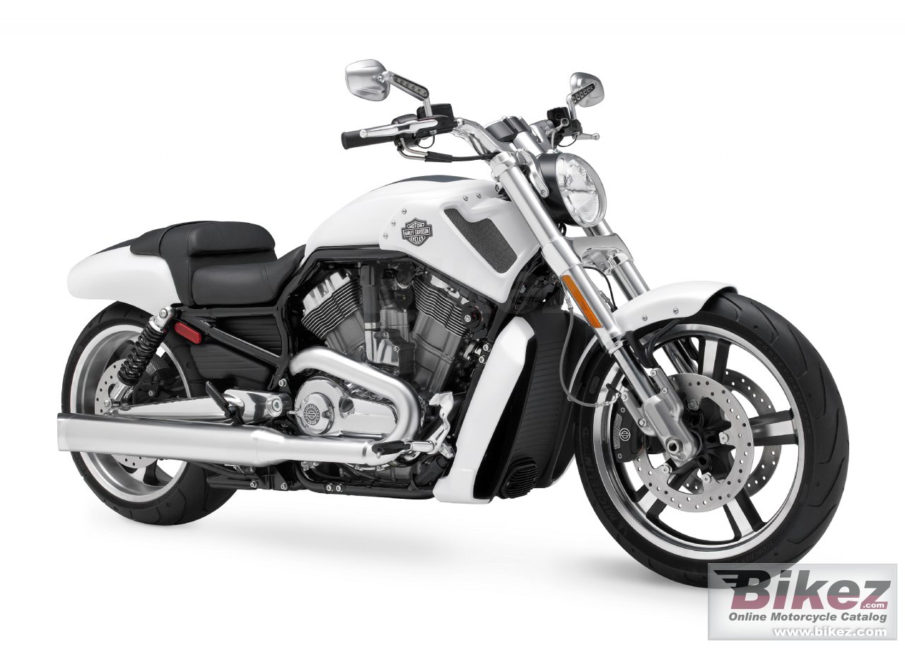 Harley-Davidson VRSCF V-Rod Muscle