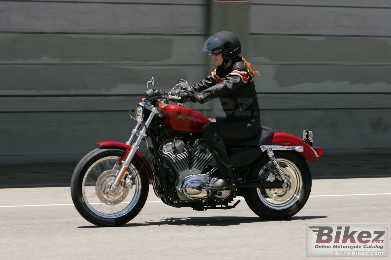 Thumbnail for Harley-Davidson XL883 Sportster 2007