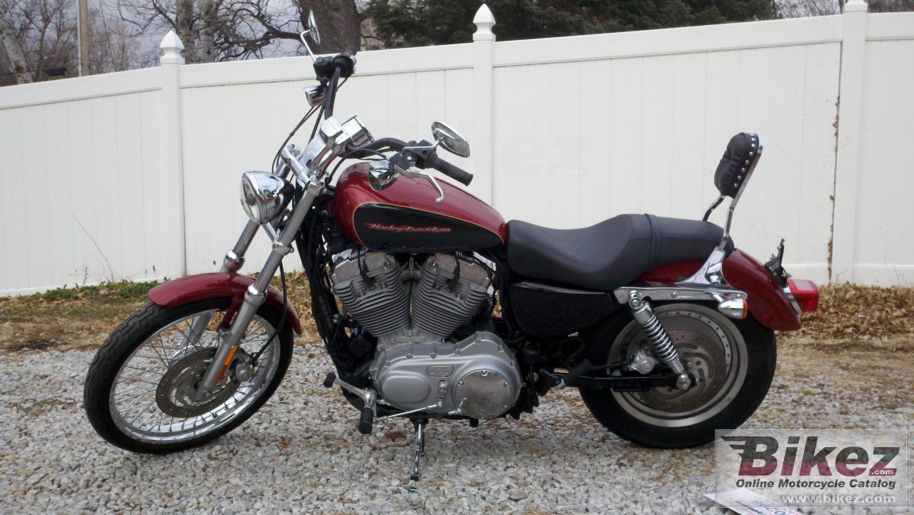 Thumbnail for Harley-Davidson XL883C Sportster Custom 2007