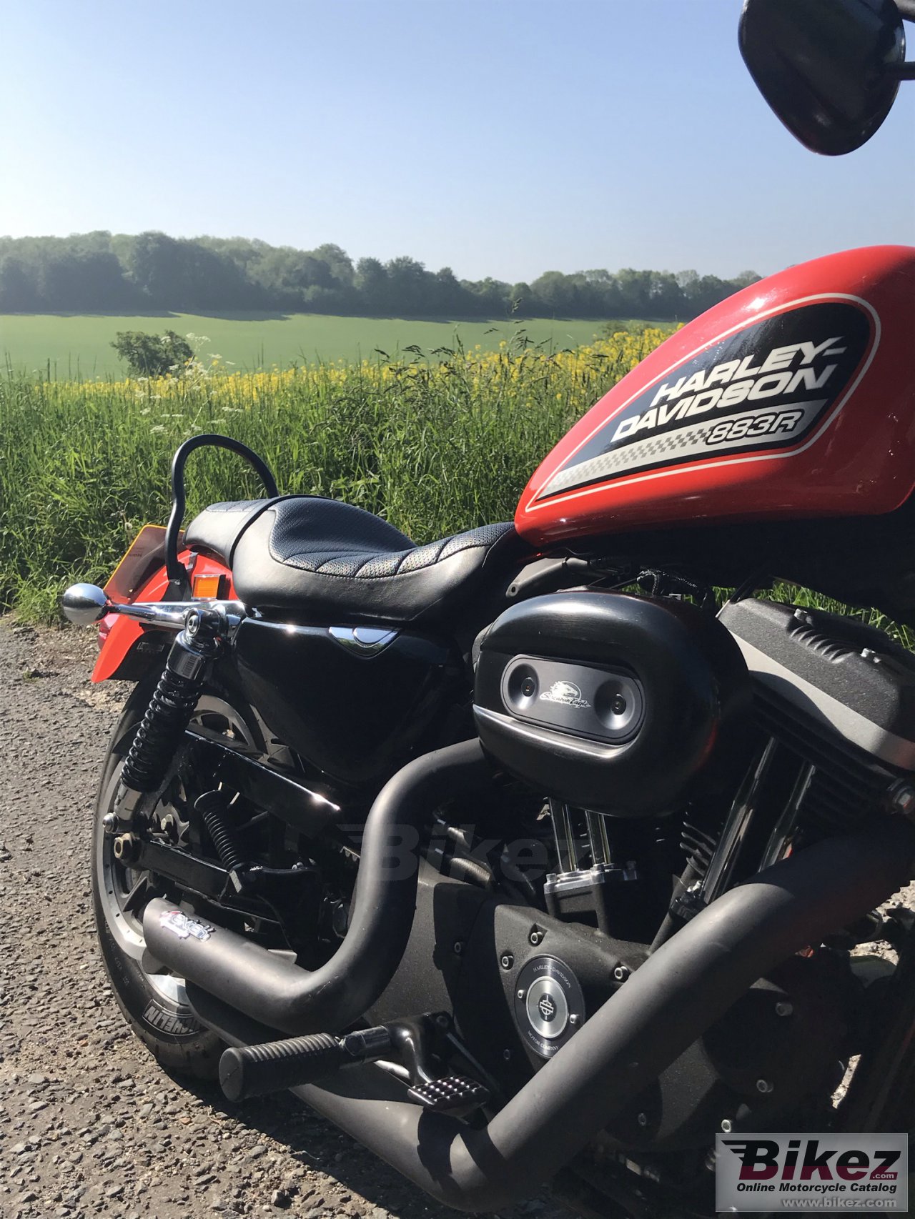 Thumbnail for Harley-Davidson XL883R Sportster 883 R Roadster 2012