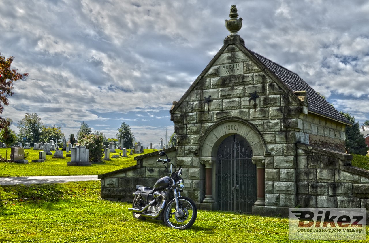 Thumbnail for Harley-Davidson XL 1200 C Sportster Custom 2004