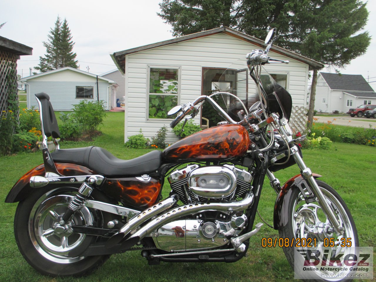 Thumbnail for Harley-Davidson XL 1200 R Sportster 2005