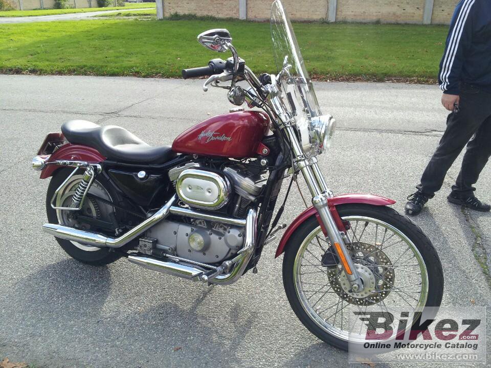 Harley-Davidson XL 53 C Sportster Custom